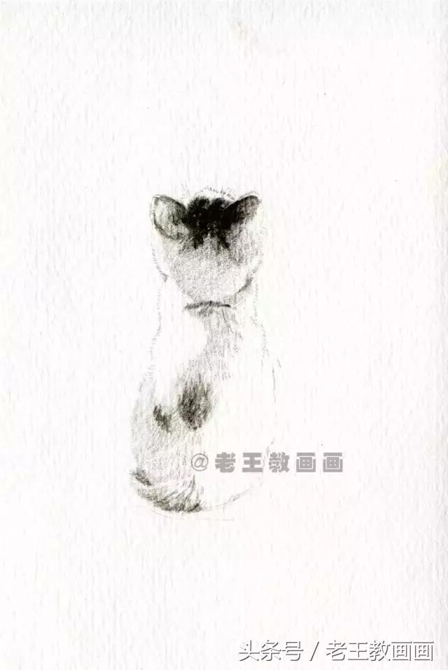 画小猫