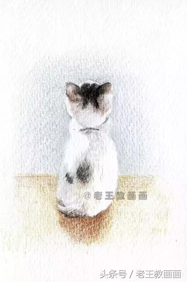 画小猫