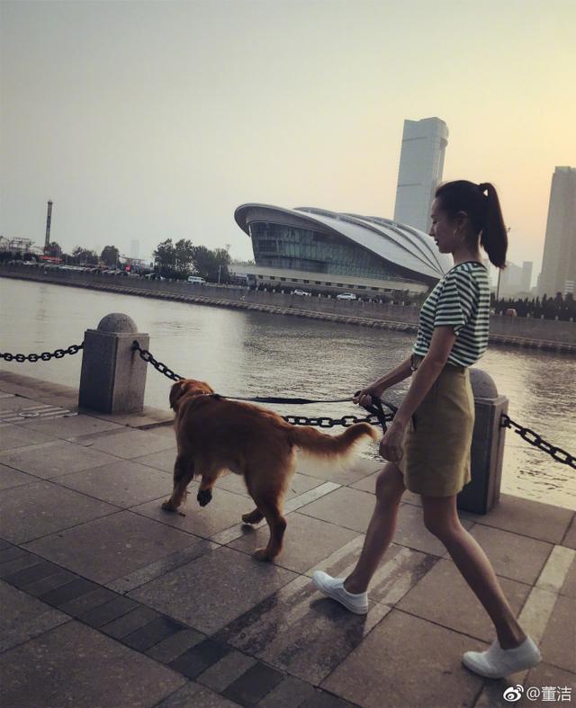 董洁微博更新（董洁微博更新了吗）