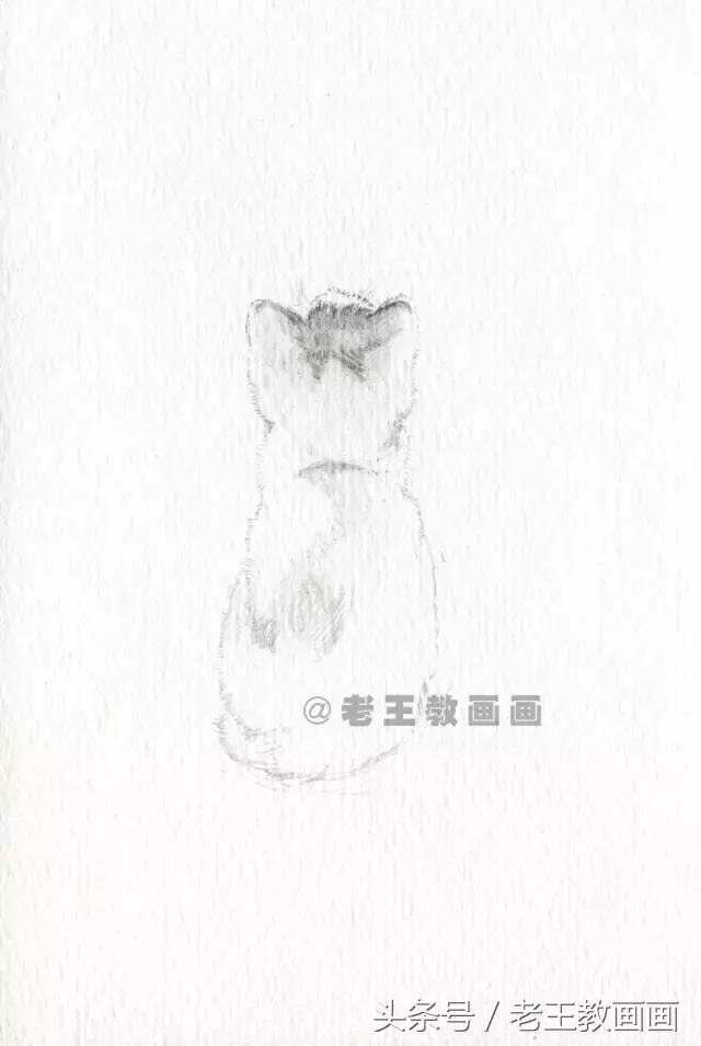 画小猫