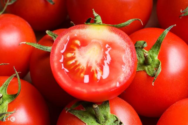 在农村这个农民不简单，种植的西红柿很少有虫害