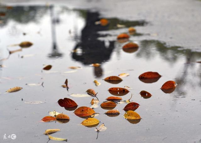 花满楼穿越十里桃花(三生三世十里桃花花满楼)