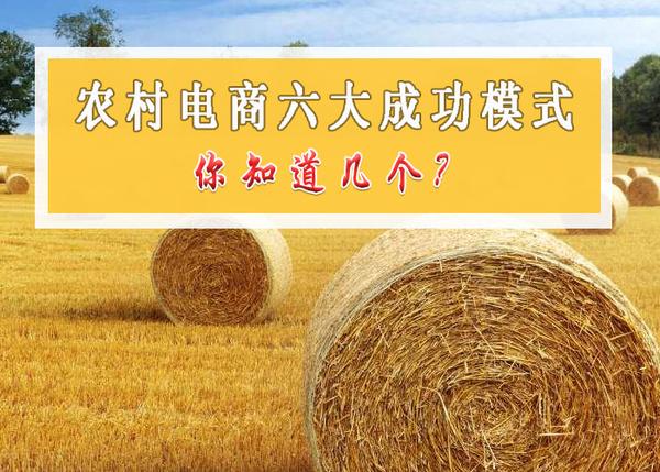 农村电商经营模式「农村电商成功的经验」