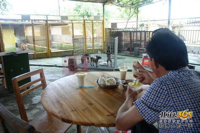 藏獒养殖基地 藏獒养殖基地（藏獒养殖技术） 动物