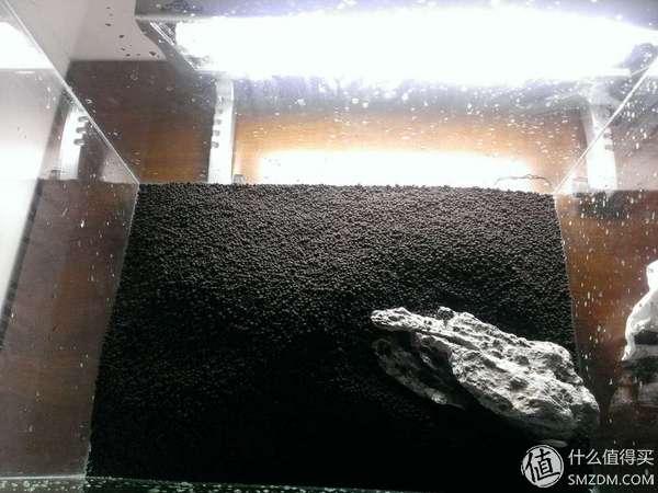 40方草缸开缸清单（大城市里的小世界）(12)