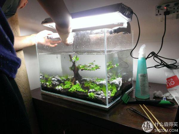 40方草缸开缸清单（大城市里的小世界）(20)