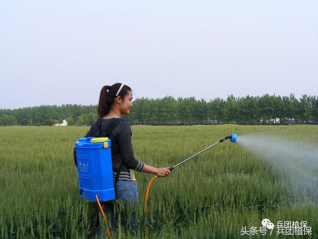 农业部公告硫丹、灭多威和毒死蜱等农药限制使用和定点经营11