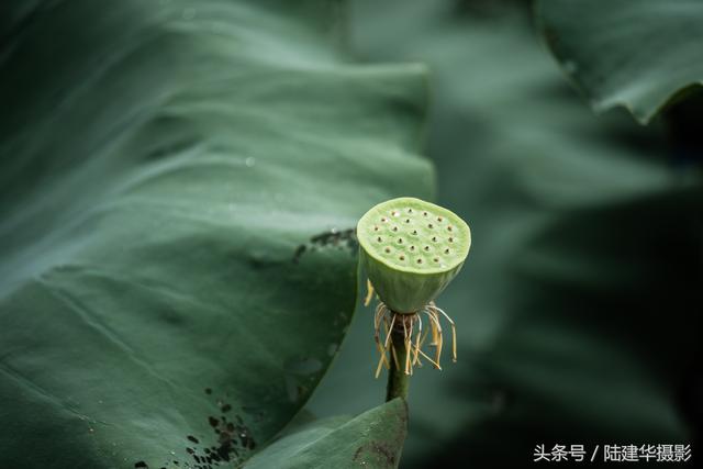 太湖鼋头渚