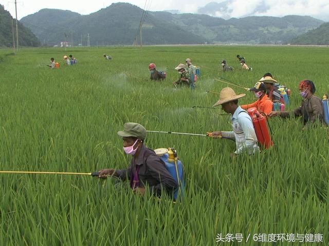 为什么每年都会有农药被禁限用