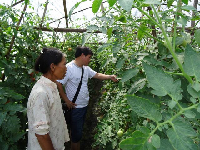 用了多年农药、铜制剂，还不知道能增产6