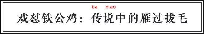 歧视老外、挤兑同事、怒喷渣男……这些毒舌古诗词谁都惹不起！