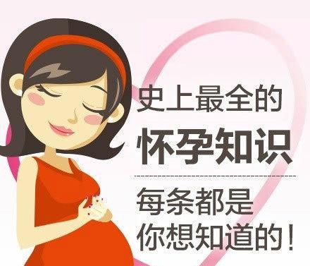 孕妇知识网