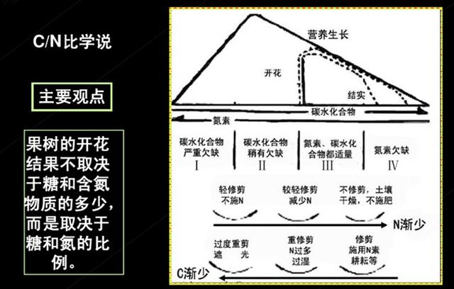 果树栽培技术｜促果树花芽分化的八个措施4