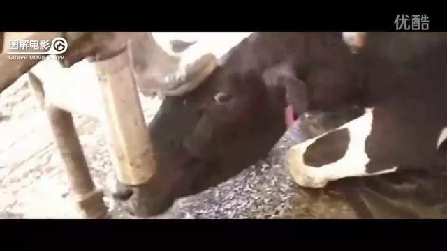 医生示范身体乳