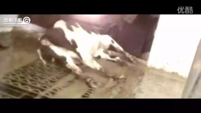 医生示范身体乳