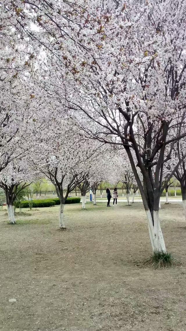 淮南市办公室装修风水