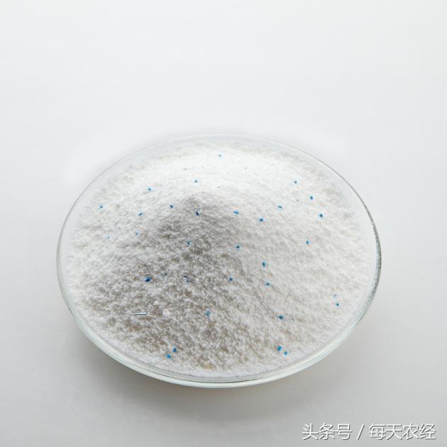 洗衣粉可以杀灭95%的蚜虫、红蜘蛛、菜青虫！你会用吗？1