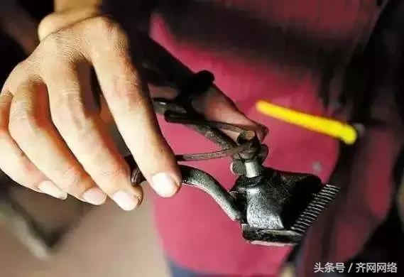 齐齐哈尔清篦破碎机