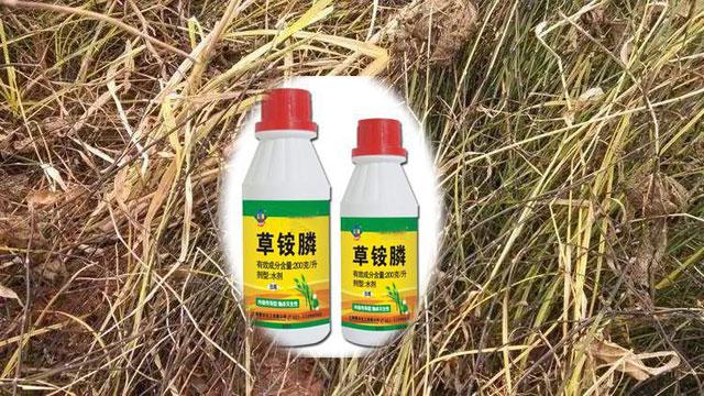 “智能化”除草剂草铵膦，为什么越来越火呢？4