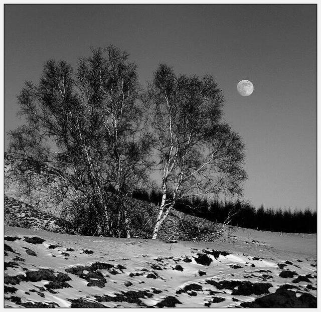 什么风凛冽(什么风凛冽的成语)-中华百科