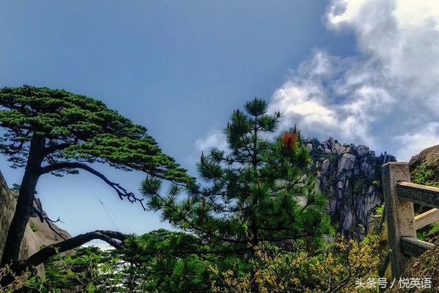 赞美黄山的诗句（黄山最出名的一句话）(13)