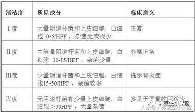 白带检查的杂菌加一是什么意思