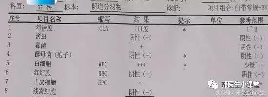 白带检查的杂菌加一是什么意思