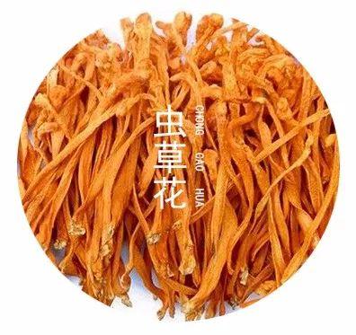 虫草花的功效与作用