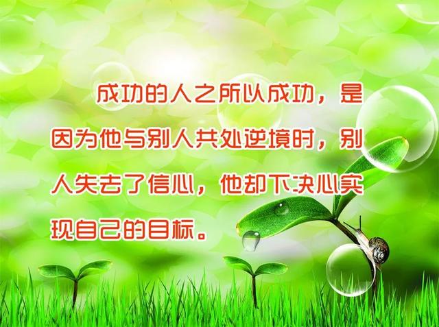 周一正能量早安问候语：如果结果不如所愿，就在尘埃落定前奋力一搏