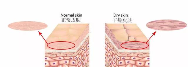 QV身体乳安全吗