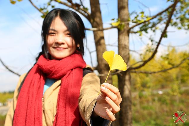 荥阳花岗岩制砂机厂家