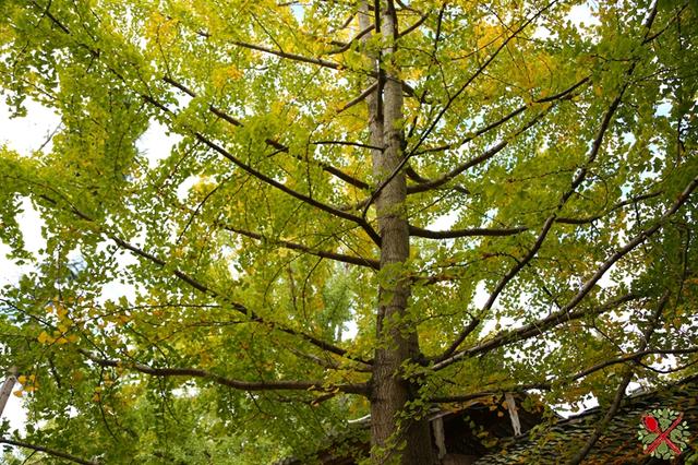 荥阳花岗岩制砂机厂家
