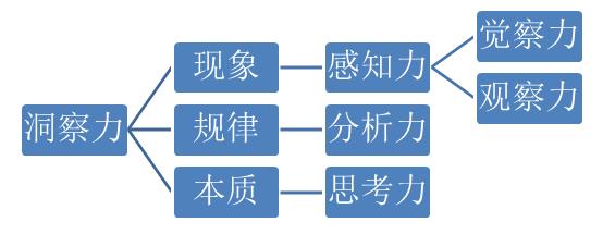 洞察的近义词