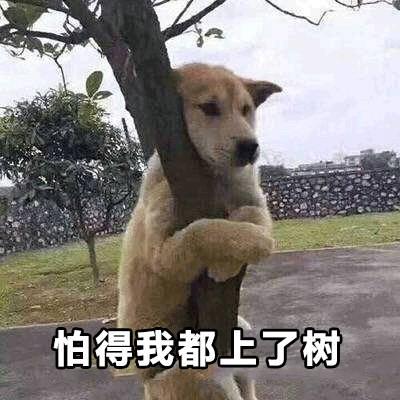 荡然无存的意思