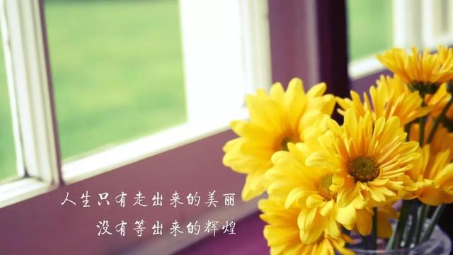 早安鼓励的句子180425：与其等死，努力一下又不会死