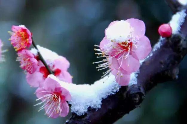 大雪节气：致我最在乎的人