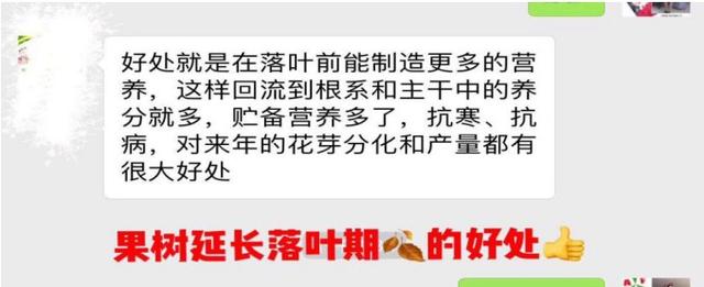 什么样的果树需要灌根？给果树灌根有哪些好处？哪个季节灌效果好3