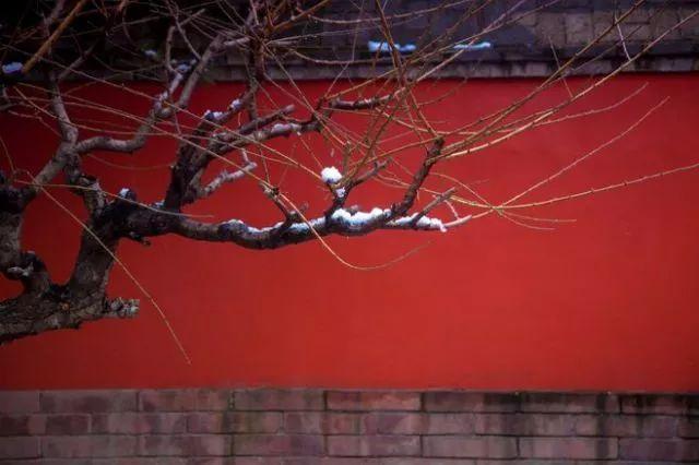 早安文字171210：粗糙在外，精致在内