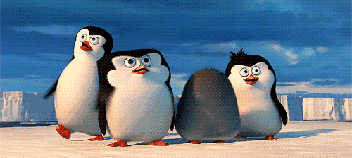 萌宠小企鹅动画片(萌宠小企鹅)