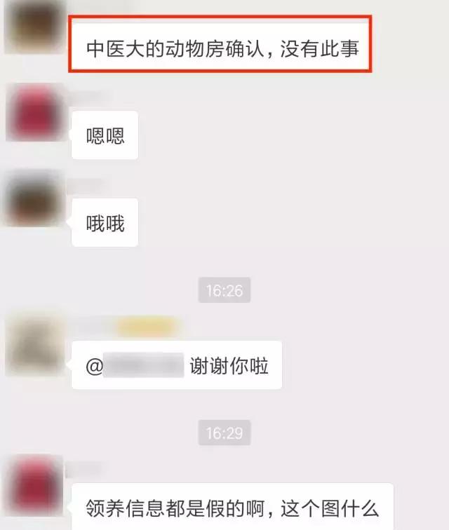 比格犬论坛