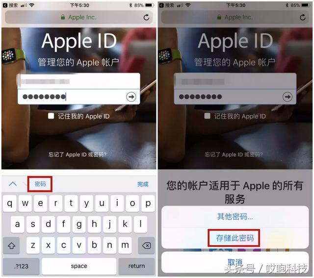 appleid密码找回