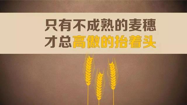 早安心语正能量171226：真正要做的，就是牢牢地抓住今天