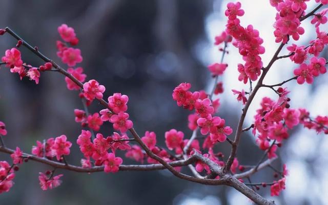 早安美文171225：年底了，让心清零