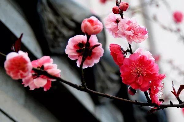 早安美文171225：年底了，让心清零