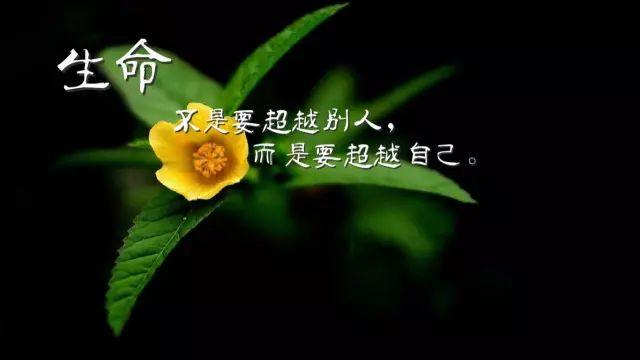 周末励志早安心语180512：人生每一笔经历，都在书写你的简历