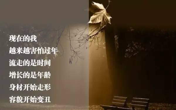 早安感悟171228：现在的我，害怕过年