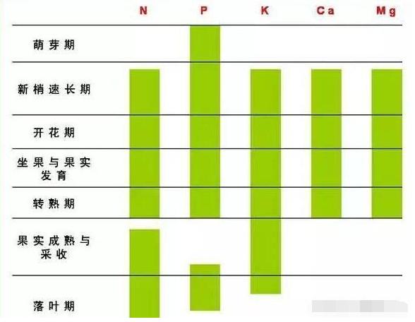 葡萄种植技术大全