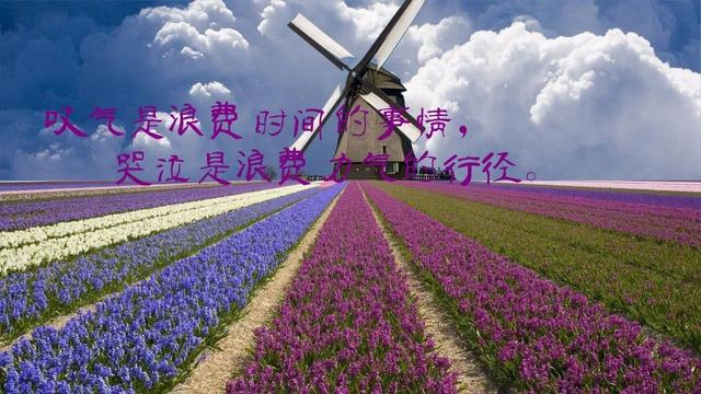 2018早安心语正能量：你若决定灿烂，倒影也会美得让人惊叹