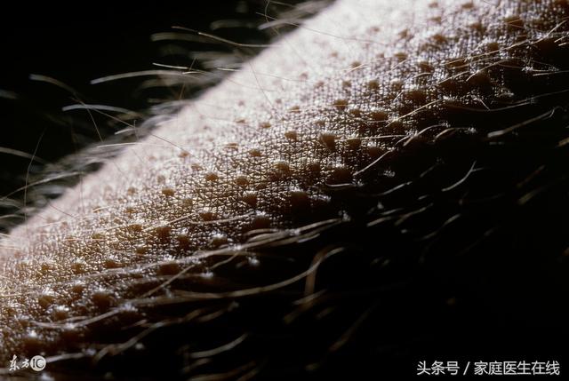 冬天起的鸡皮疙瘩