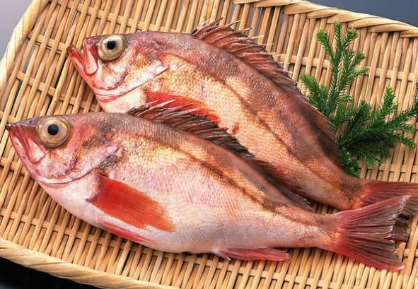 红加吉鱼是什么鱼「清蒸加吉鱼是什么菜」